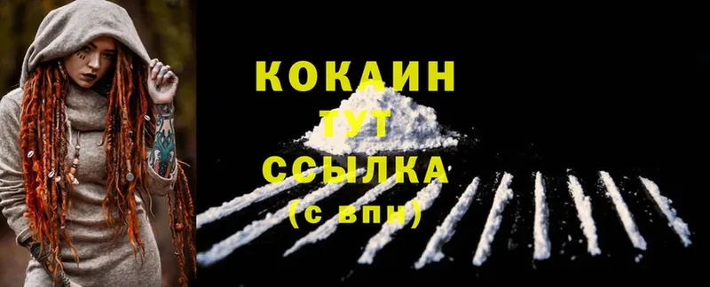 где продают   Шадринск  Cocaine FishScale 